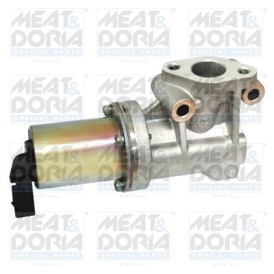 EGR Valve